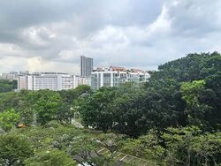 Blk 43 Telok Blangah Rise (Bukit Merah), HDB 3 Rooms #553899981
